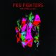 Foo Fighters Wasting Light Plak