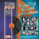 Türk Pop Müzik Tarihi Kaç Yıl Geçti Aradan Plak