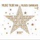 Yıldız Tilbe'nin Yıldızlı Şarkıları Vol 2 Plak